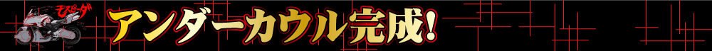 アンダーカウル完成!