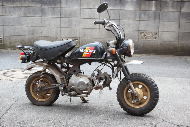 Monkey