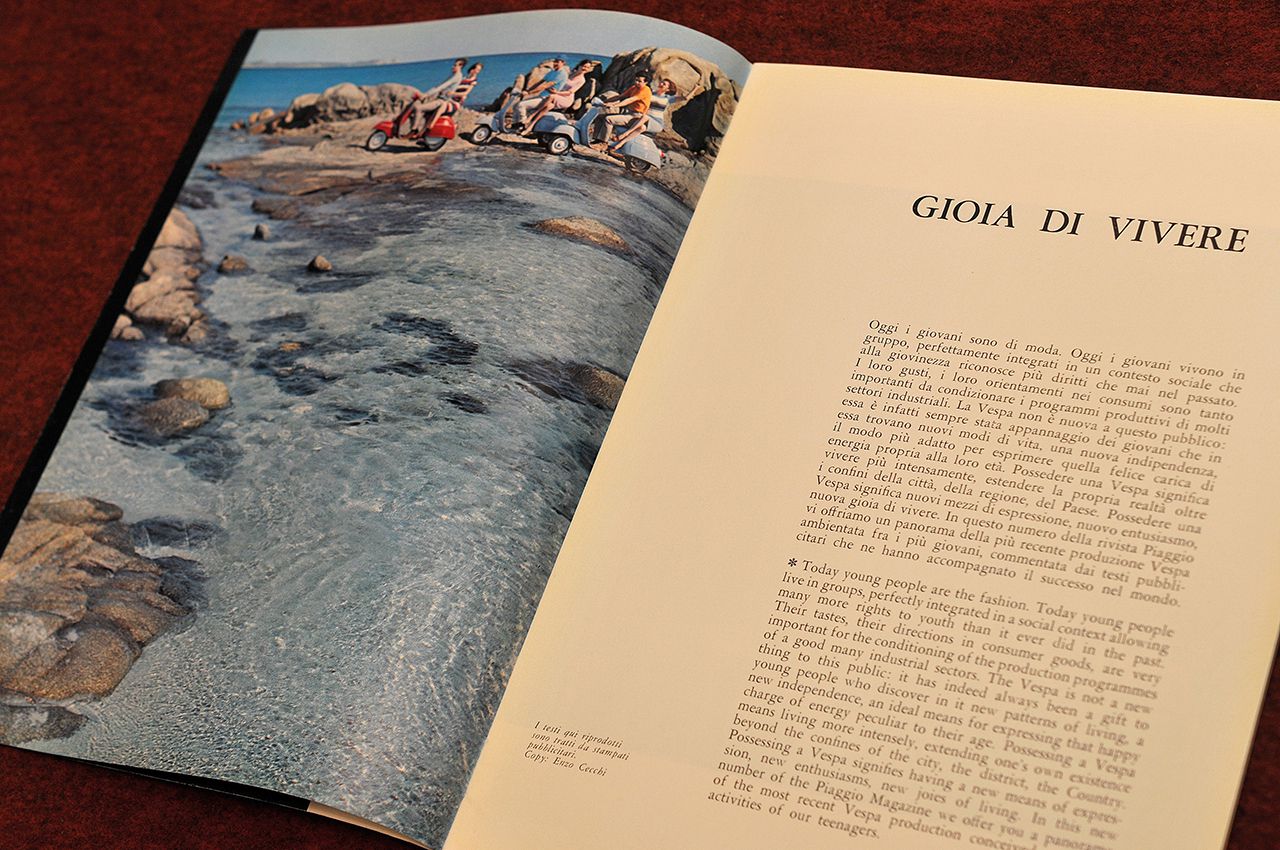 GIOIA DI VIVERE