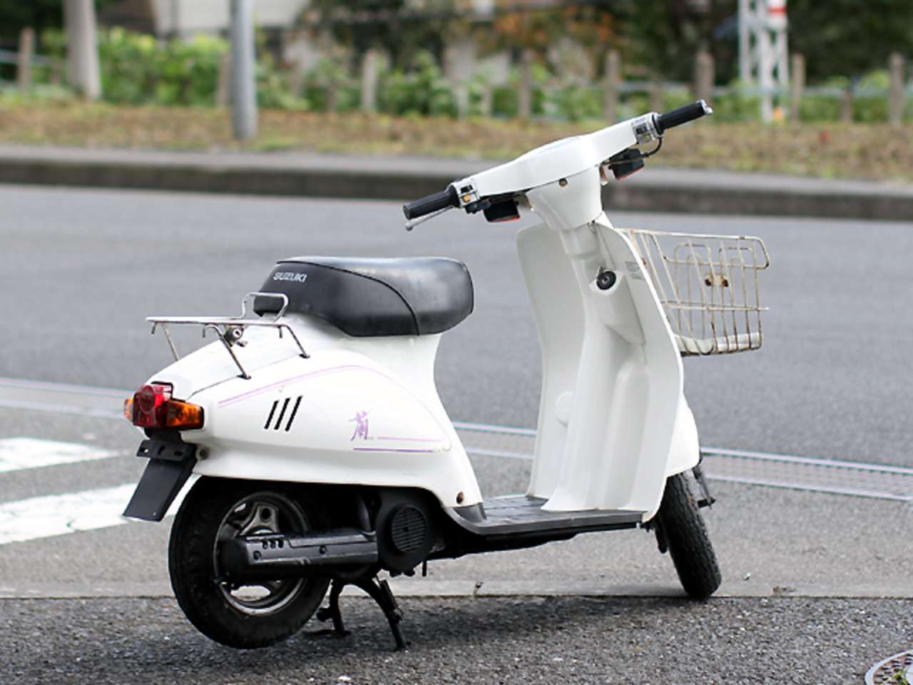 スズキ 蘭
