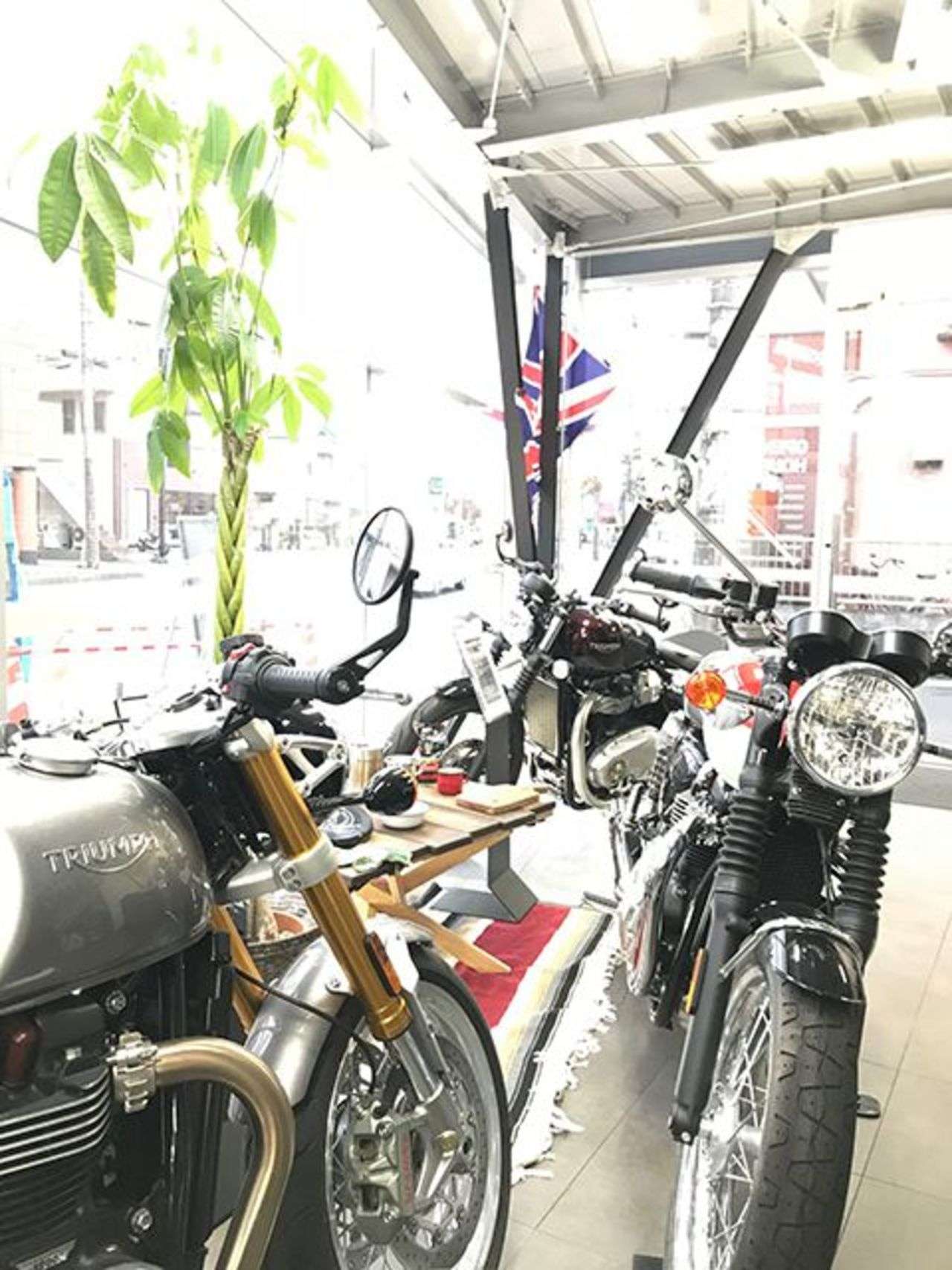 クリアランス 埼玉県草加市 クリアランス 埼玉県草加市