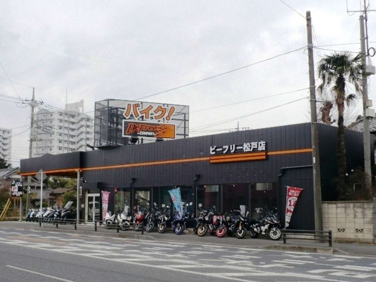 ビーフリー松戸店 千葉県松戸市 ビーフリー松戸店 千葉県松戸市