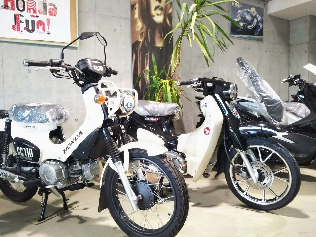 クロスカブ110 予約受付中 ホンダ B 中古バイク情報はbbb クロスカブ110 予約受付中 ホンダ B 中古バイク情報はbbb
