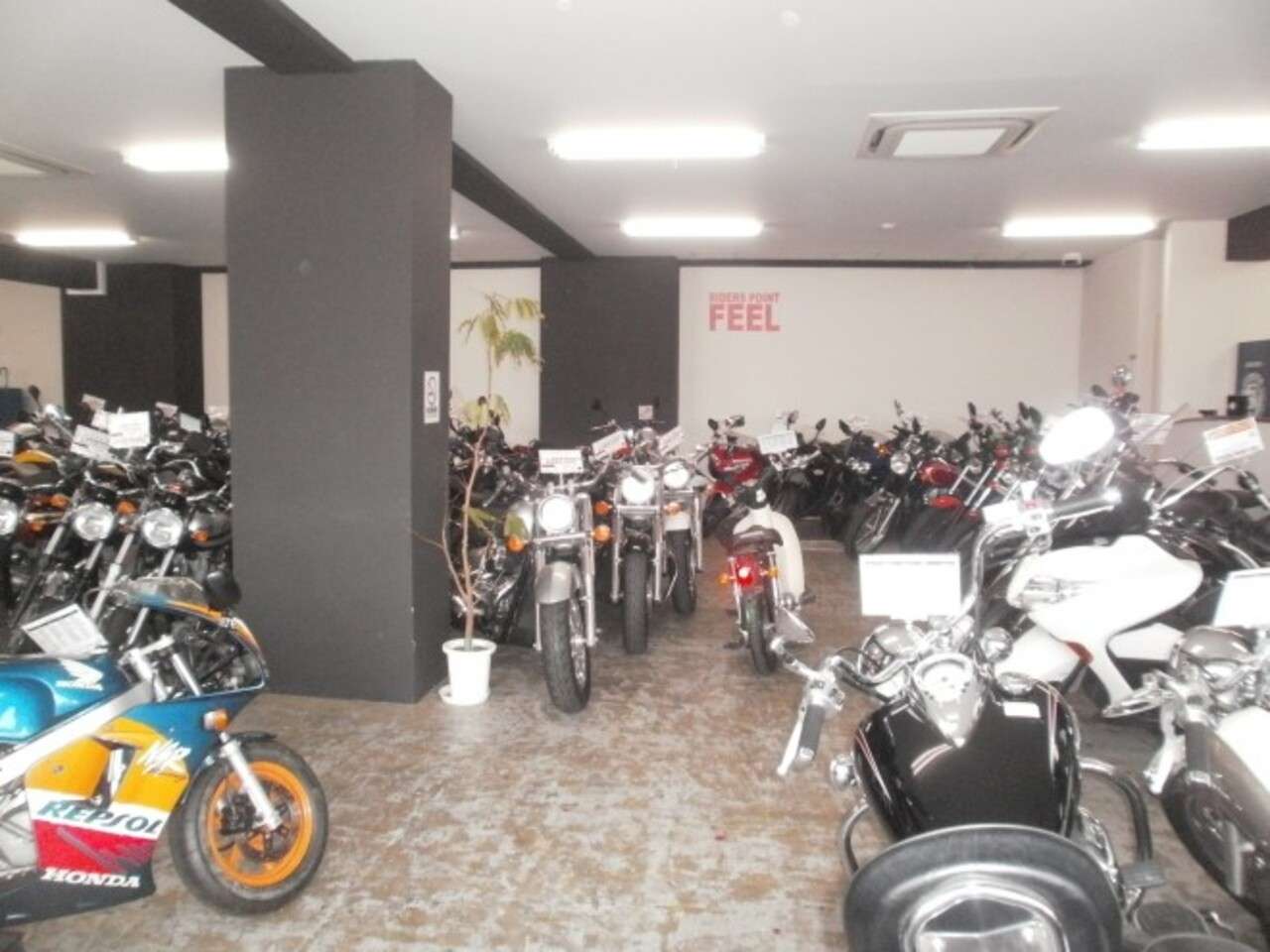 ライダーズポイントfeel 兵庫県尼崎市 ライダーズポイントfeel 兵庫県尼崎市