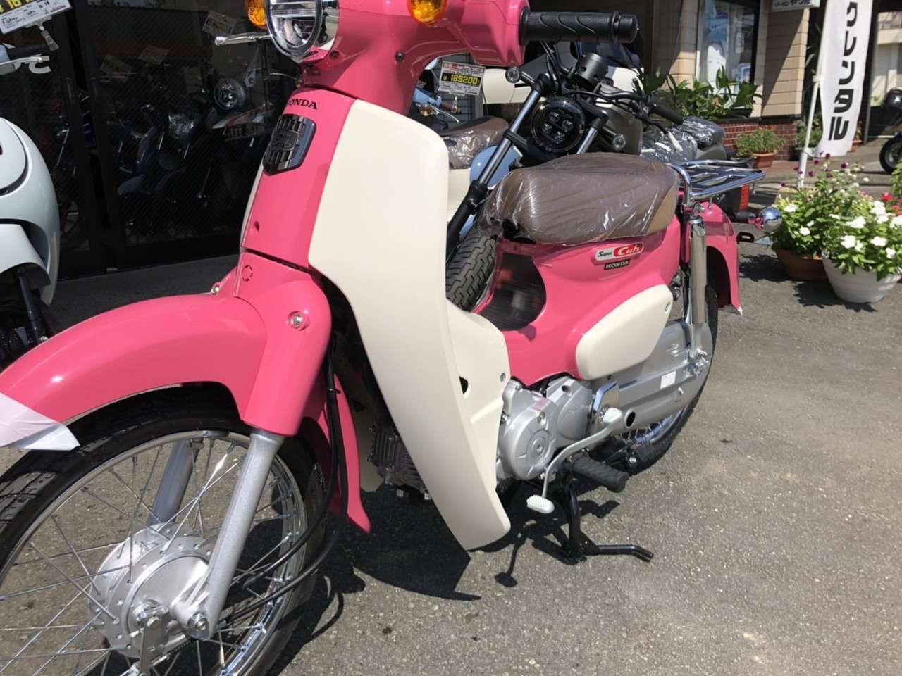 構成 振り返る 登山家 スーパー カブ 50 天気 の 子 Styleplusr Com 構成 振り返る 登山家 スーパー カブ 50 天気 の 子 Styleplusr Com