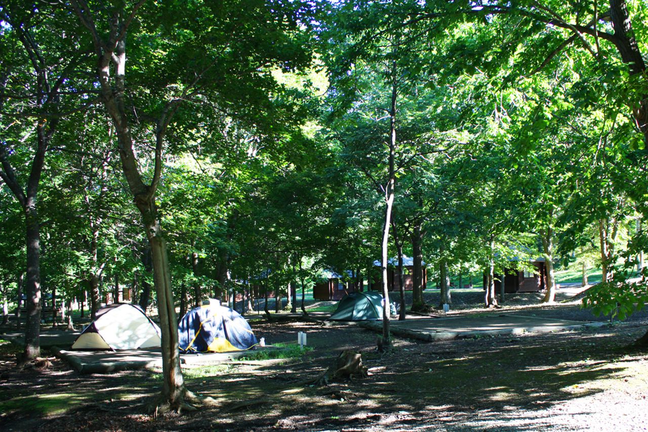 暑い夏場は木陰の多いキャンプ場がおすすめ