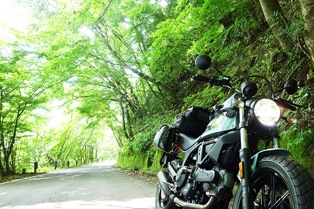 緑の中を走り抜けるスクランブラーSixty2。自然の風景がよく似合うバイクなのだ。