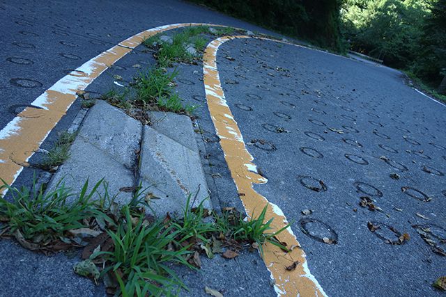 センターラインに雑草が生えていた