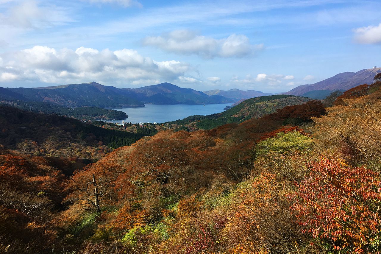 大観山から眺める芦ノ湖と紅葉