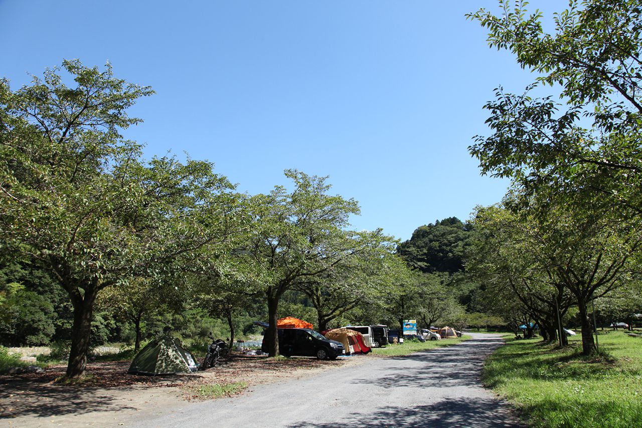 青野原キャンプ場