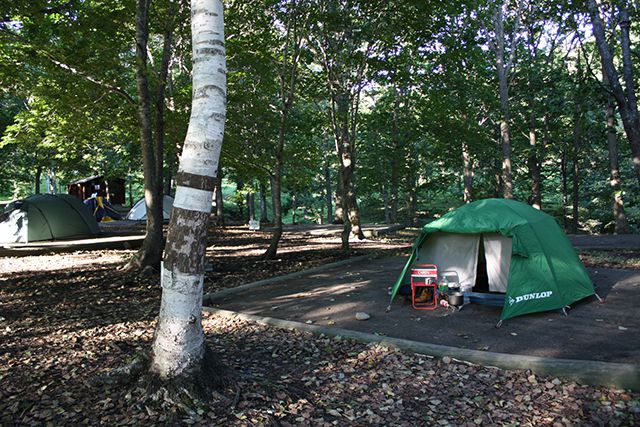 木々に囲まれた場所にある五鹿山キャンプ場