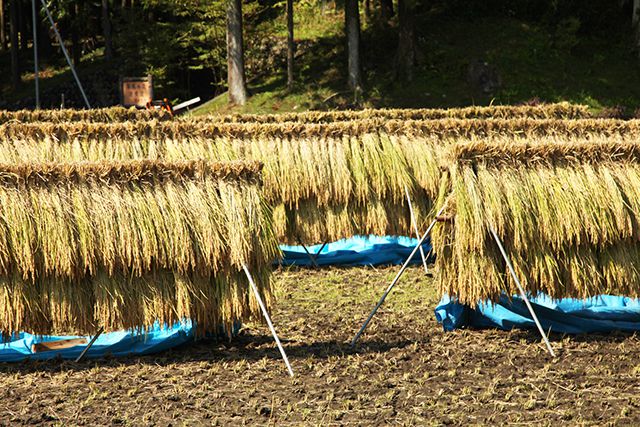 日本の田舎らしいが風景