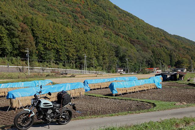 田舎らしい風景