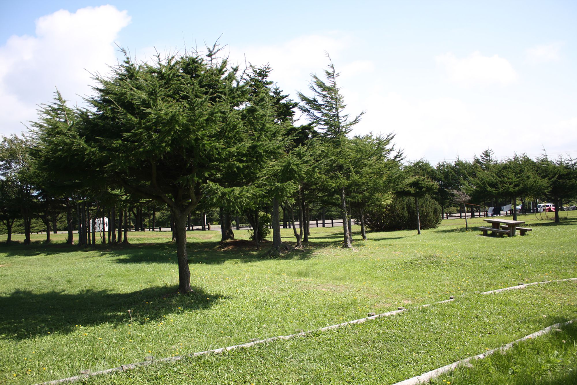 稚内森林公園キャンプ場