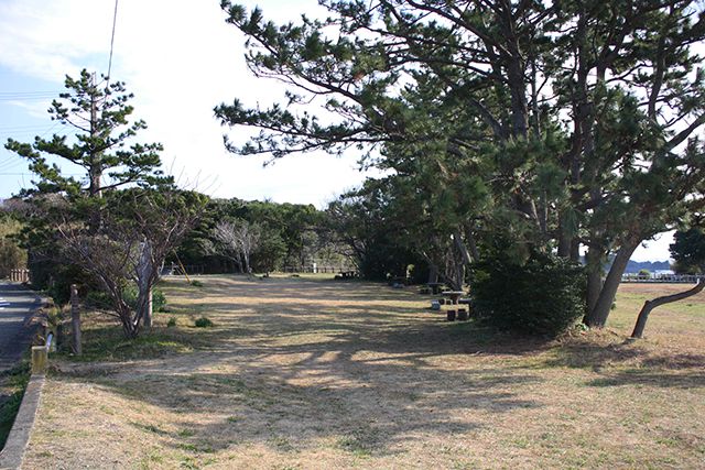 潮岬望楼の芝生キャンプ場