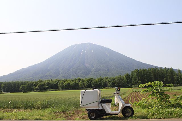 羊蹄山