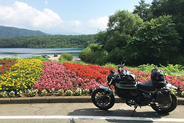 ドゥカティ・スクランブラーSixty2と花畑