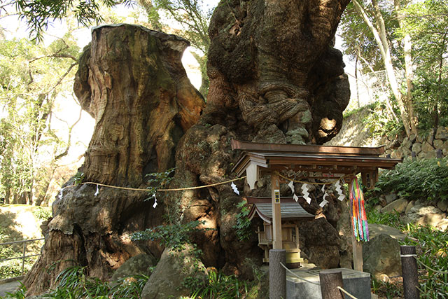 熱海來宮神社