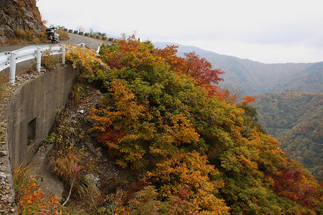 冠山林道