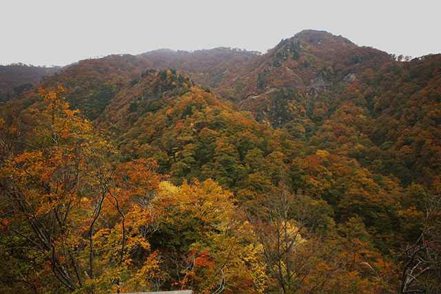 冠山林道