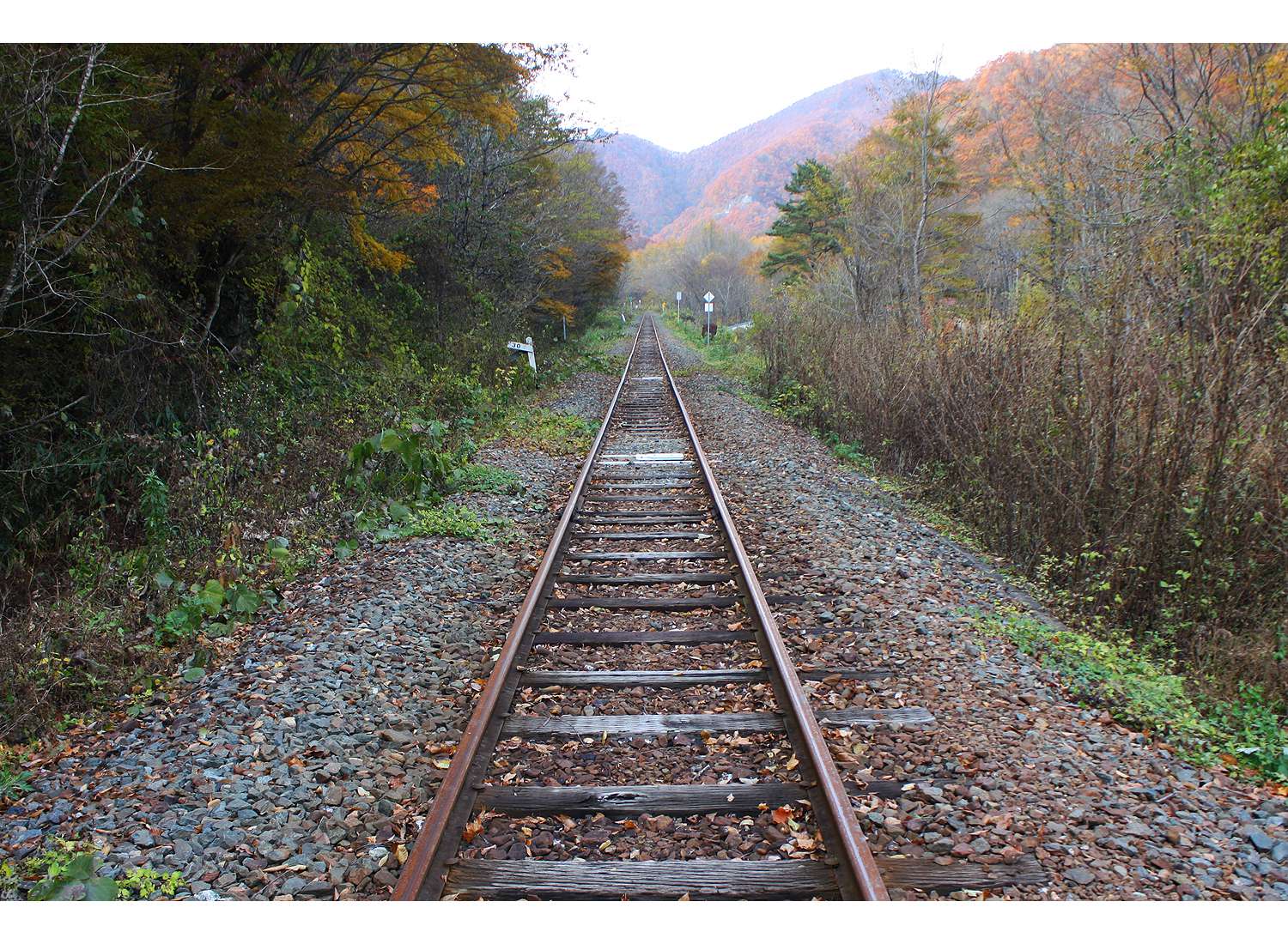 岩泉線跡