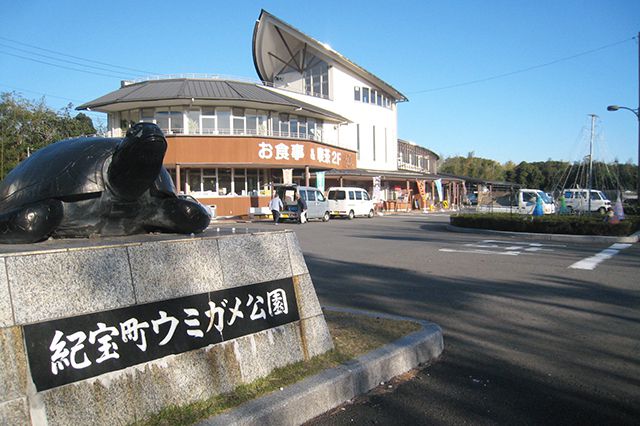 道の駅・紀宝町ウミガメ公園