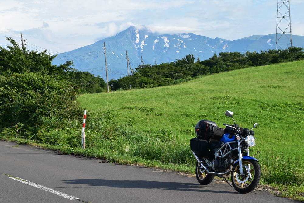 緑の風景に爽やかなブルーカラーが映えているVTR250"