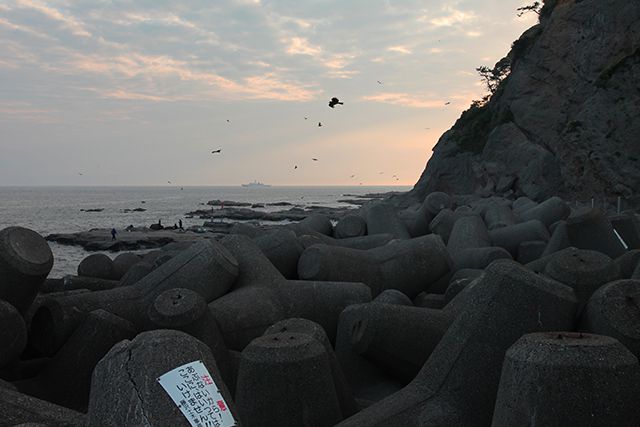 江ノ島の海岸