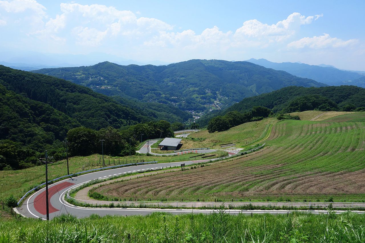 秩父高原牧場の道