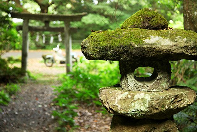 ひっそりと立つ山の神