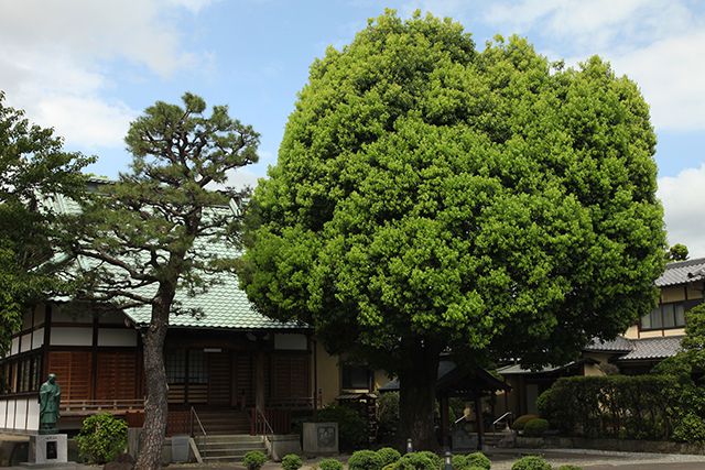 大連寺