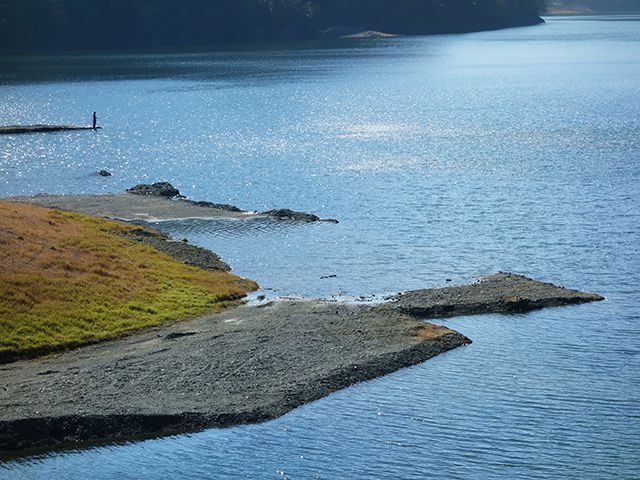 釣りも楽しめる丹沢湖