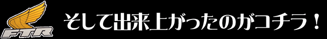 そして出来上がったのがコチラ！