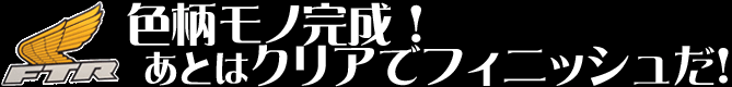 色柄モノ完成！あとはクリアでフィニッシュだ！