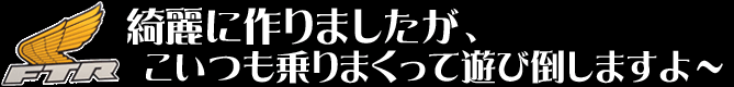 綺麗に作りましたが、こいつも乗りまくって遊び倒しますよ～