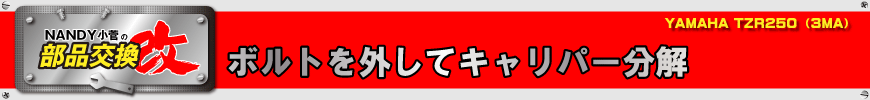 ボルトを外してキャリパー分解