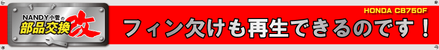 フィン欠けも再生できるのです!