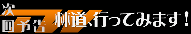 林道、行ってみます！