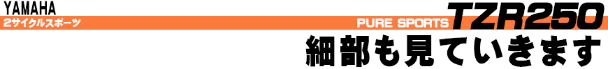 細部も見ていきます