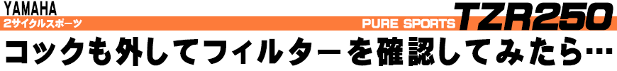 コックも外してフィルターを確認してみたら...