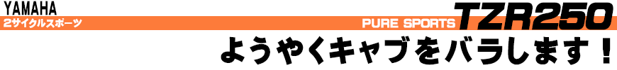 ようやくキャブをバラします!