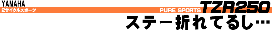 ステー折れてるし...