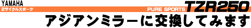 アジアンミラーに交換してみます