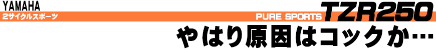 やはり原因はコックか...