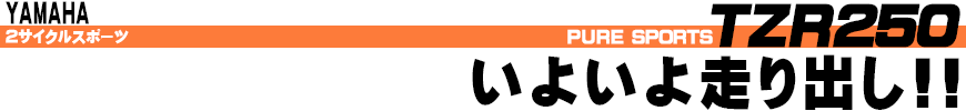 いよいよ走り出し!!