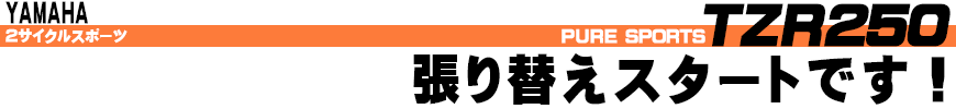 張り替えスタートです！