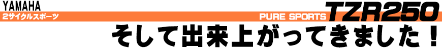 そして出来上がってきました！