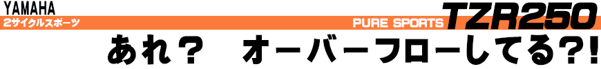 あれ？　オーバーフローしてる?!