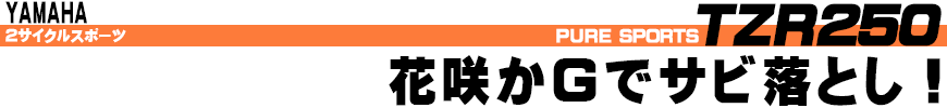 花咲かＧでサビ落とし！