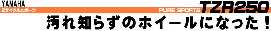 TZR250 汚れ知らずのホイールになった！